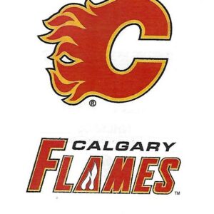 Calgary Flames NHL Hockey Team Logo Craft Stickers Indoor Use only about 2"
