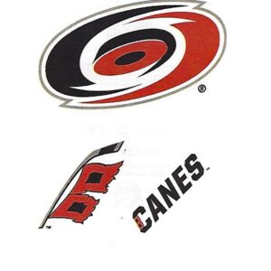 Carolina Hurricanes NHL Hockey Team Logo Craft Stickers Indoor Use only about 2"