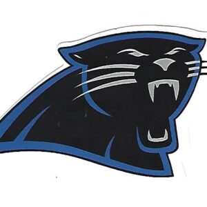 Carolina Panthers NFL Football Outdoor Grade Vinyl Stickers