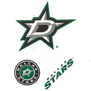 Dallas Stars NHL Hockey Team Logo Craft Stickers Indoor Use only about 2"